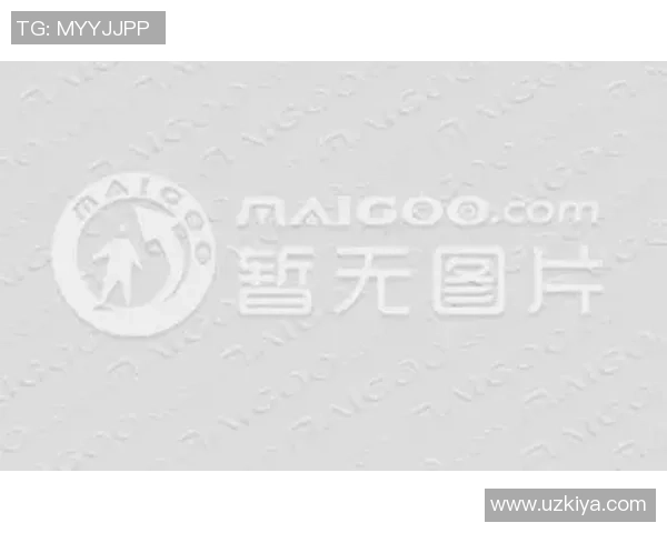 选购排球护膝的实用指南与推荐品牌解析